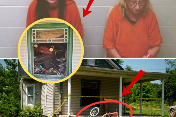 THE 3.6-METER ROOM THAT HID 16 CHILDREN: Ohio’s Elizabeth Siders case ...